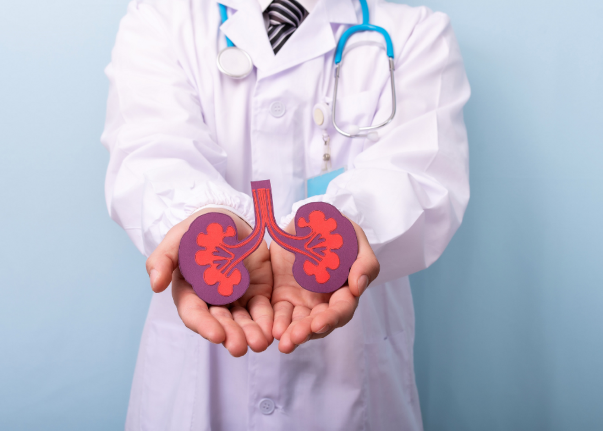 Kidney Transplant Surgery