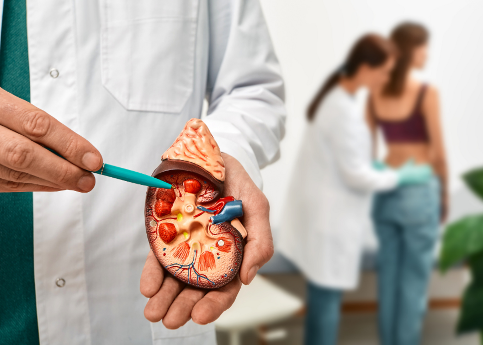 Kidney Stone Treatment